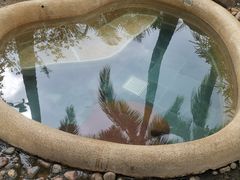 -三亚珠江南田温泉度假区