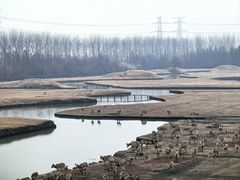 -溱湖国家湿地公园