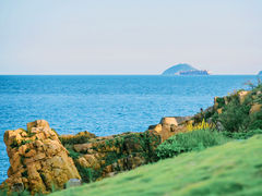 -小麦岛公园