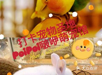 天呐！上海特色宠物店，快来pick一下叭！