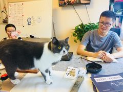 -猫音日语留学培训