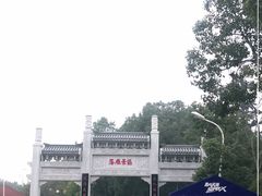 -东湖落雁景区