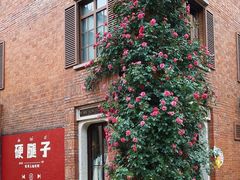 -南京民俗博物馆(甘熙故居)