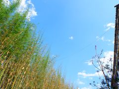 -南诏风情岛