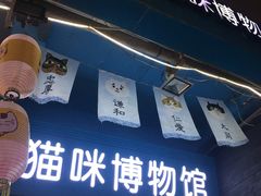 -猫咪博物馆(顶澳仔猫街店)