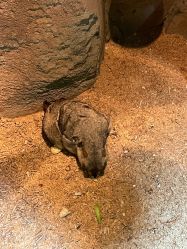 -酷嗒动物文化乐园(cutezoo西溪乐天城店)