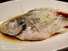 清蒸鲈鱼-青年公社烤鸭(青年路店)