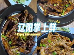 -掌上鲜(南顺城街店)