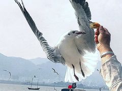 -滇池海埂公园