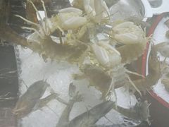 -渔傅·蓝海岸霞浦海鲜(正祥店)
