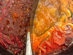 -重庆川渝肥妹火锅