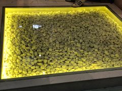 -狐狸和向日葵(北京路店)