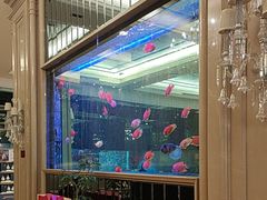 -星河湾半岛酒店-真粤中餐厅