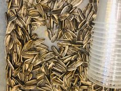 -京朋串屋·烧烤(望京西路总店)