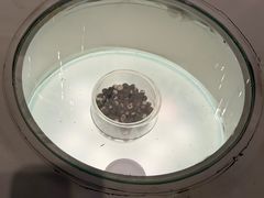 -中国湿地博物馆