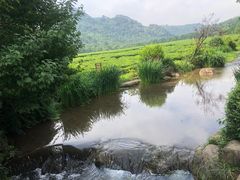 -中国茶叶博物馆(双峰馆区)