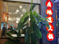 -雾都渣渣火锅(南城智汇城店)