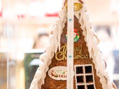 -深圳星河丽思卡尔顿酒店