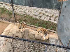 -深圳野生动物园