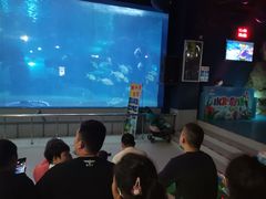 -蓬莱欧乐堡海洋极地世界