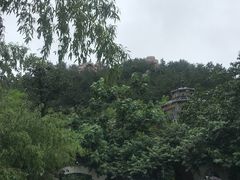 -老张烤羊(王哥庄店)