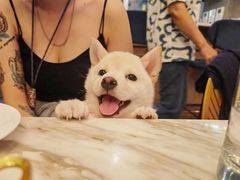 -the rug 飞毯 (朝阳公园店)