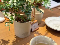 -CURRY YA 熟成咖哩專門店(深圳湾万象城店)
