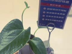 -眉州东坡(印象城购物中心店)