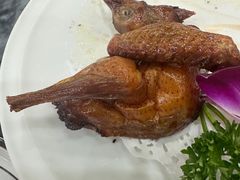 -鸽鸟轩(石岐店)