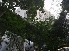 -香港大学