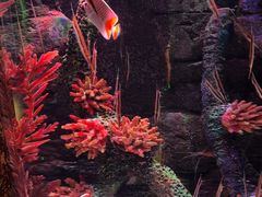 -沈阳海洋探索中心