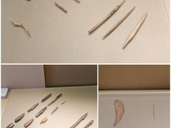 -河北博物院