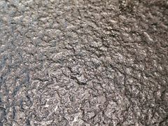 -蝴蝶里·粤菜·点心(龙湖天街&滨江店)