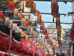 -越秀西湖花市(广州城市广场花卉店)