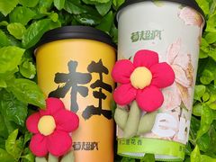 -莓超疯(百源店)