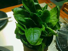 手工牛肉丸-手选潮汕鲜活牛肉火锅(二七广场店)