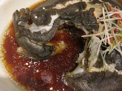 -7号院家宴.烧鸽子(门头沟店)