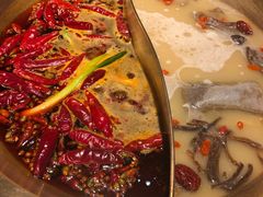 -小龙坎火锅(春熙太古里店)