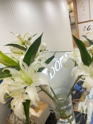 点击看大图 -熙朵美学植发连锁