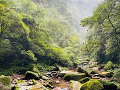 -碧峰峡风景区
