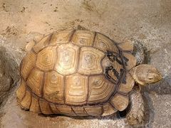 -顺德南宏海立方海洋公园