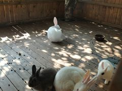 -HERRE·FARM 赫尔露营农场·团建聚会包场