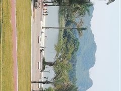 -南宁花花大世界景区