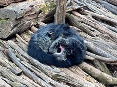 -普洱太阳河森林公园