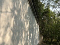 -上海佘山国家森林公园天马山园