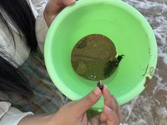 -大王村沙滩