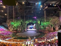 -广州长隆国际大马戏