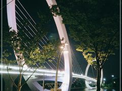 -南京眼步行桥