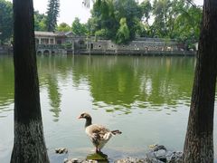 -东莞市可园博物馆