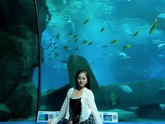 -福州罗源湾海洋世界旅游区